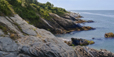 Beavertail